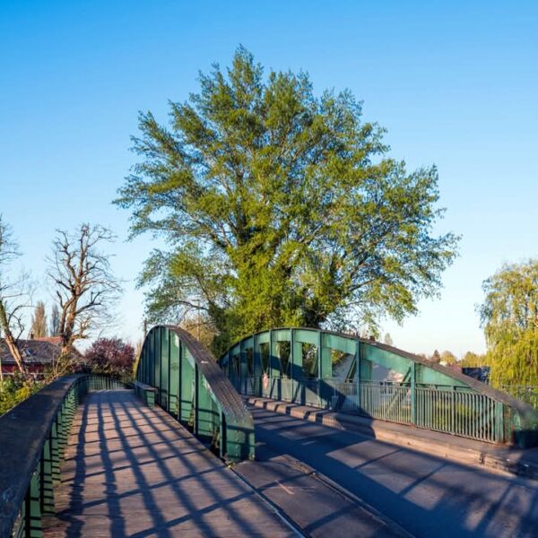 Travaux « Pont de la Borne »
